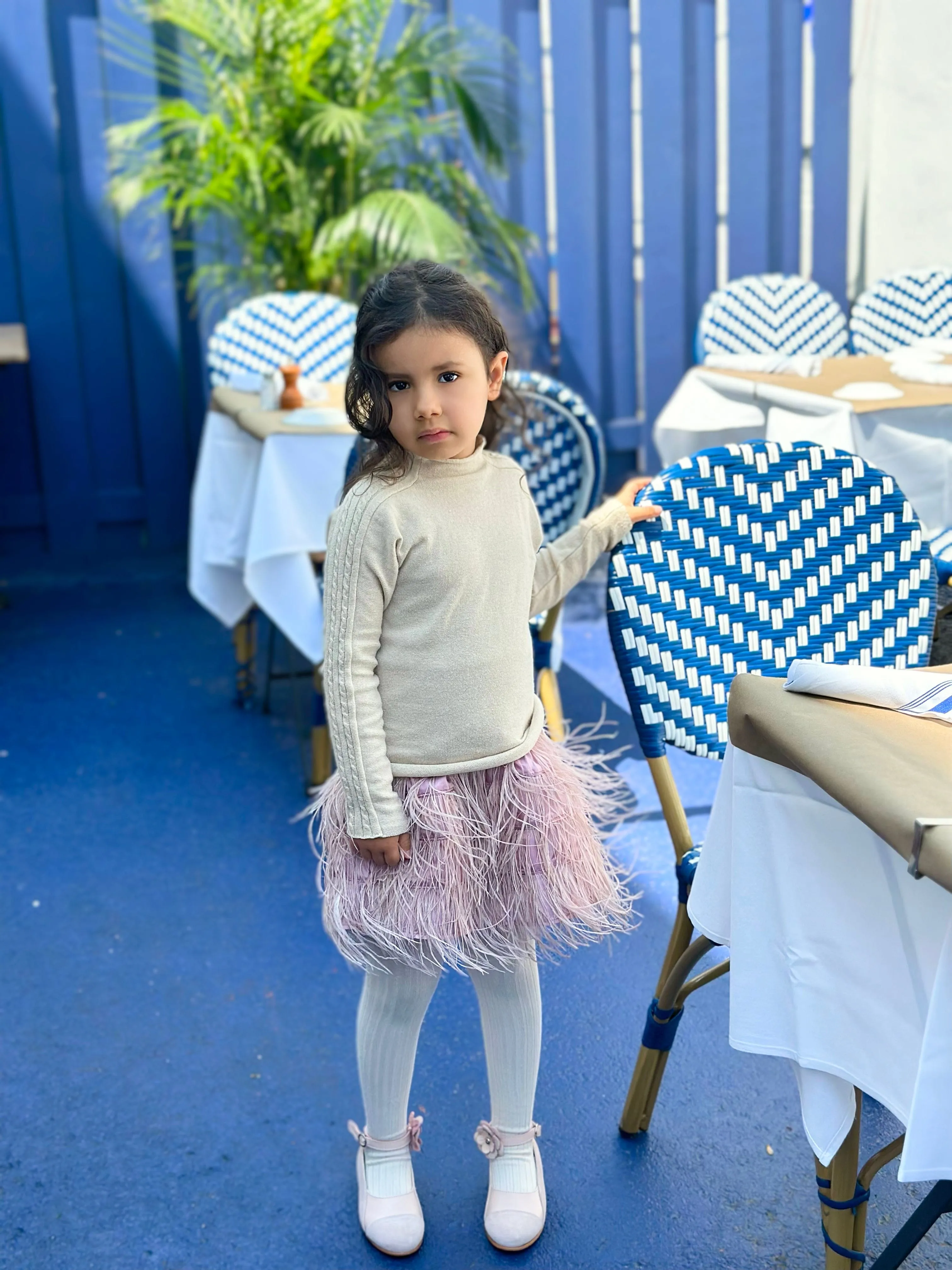 Dusty Pink Feather Skirt