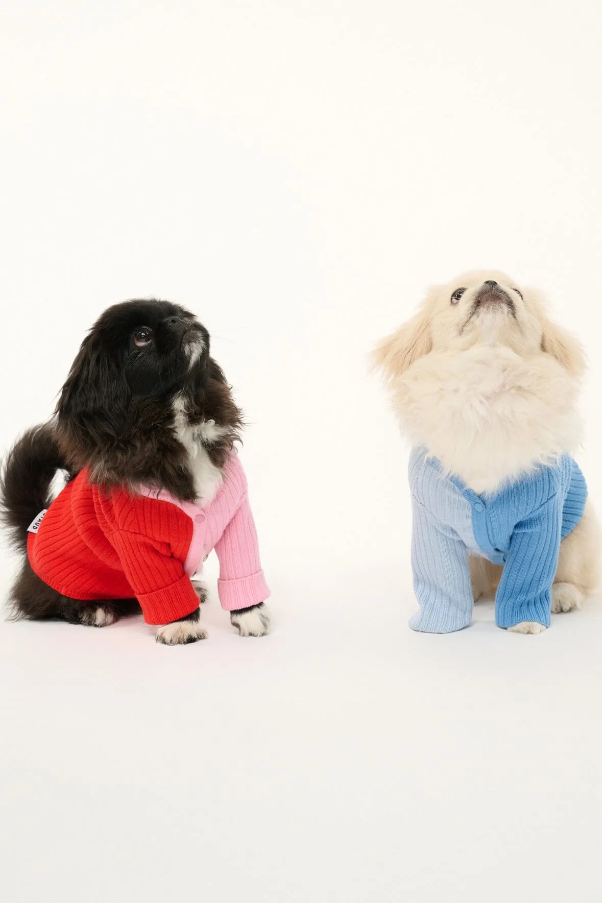 PET SHOKO SWEATER | PERIWINKLE MULTI