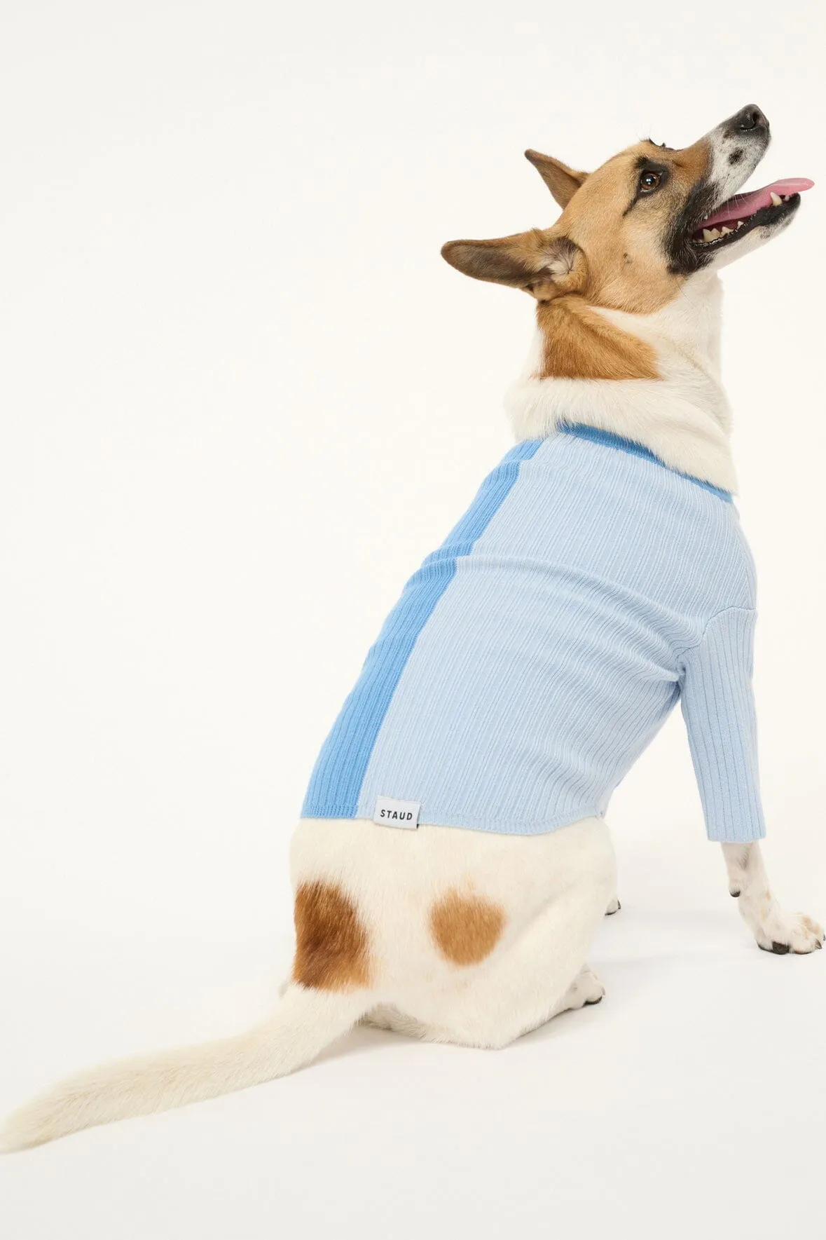 PET SHOKO SWEATER | PERIWINKLE MULTI