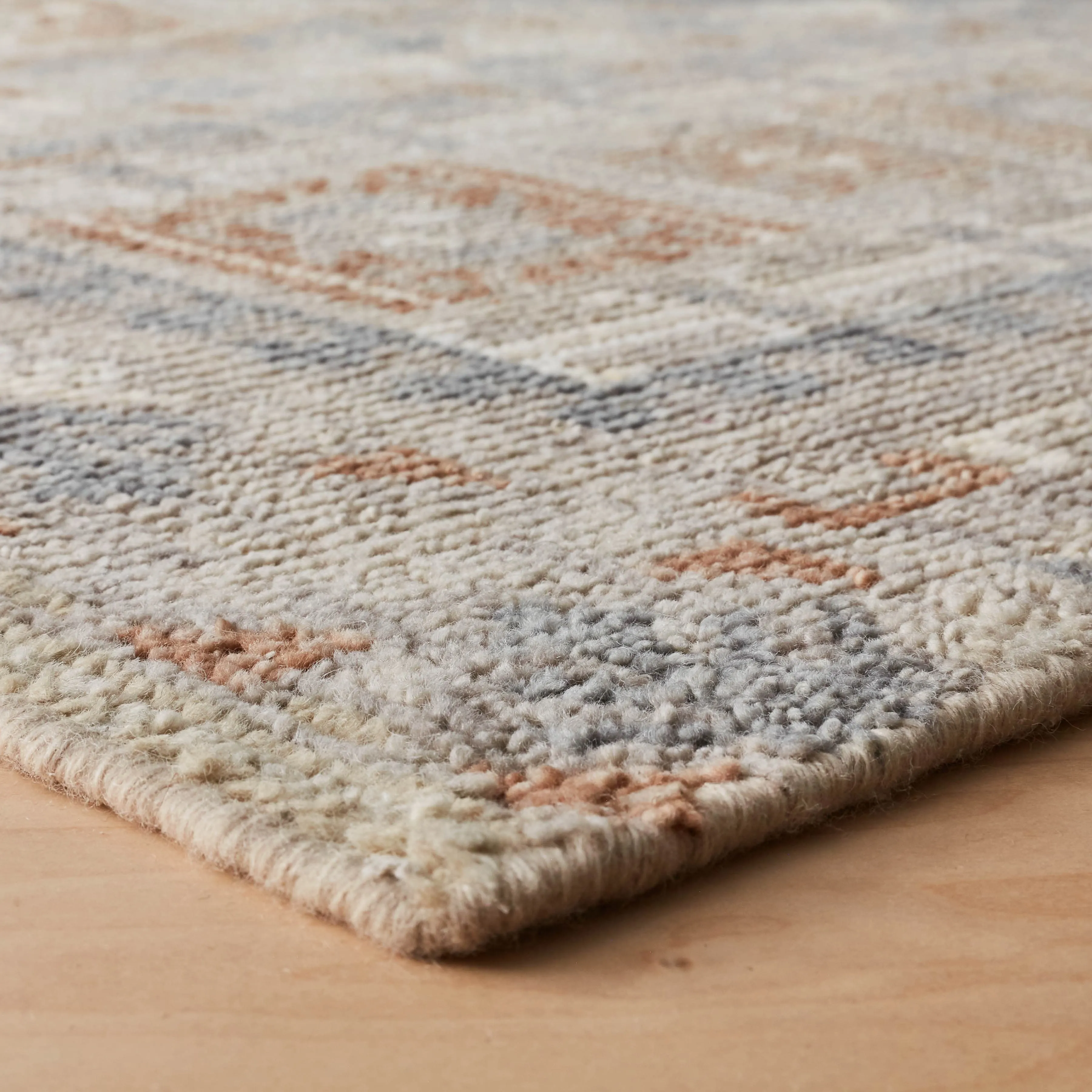 Sarasi Hand-Knotted Area Rug